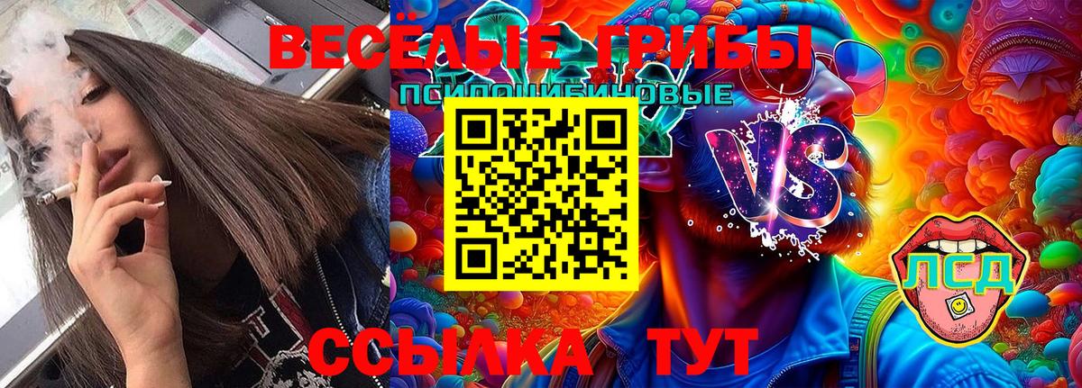 Псилоцибиновые грибы MAGIC MUSHROOMS  Вход с VPN  Лесосибирск 